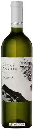 Domaine Lagarde - Altas Cumbres Viognier