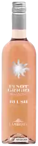 Domaine Lamberti - Blush Pinot Grigio delle Venezie