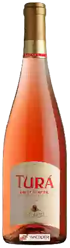 Domaine Lamberti - Turá delle Venezie Rosato Frizzante