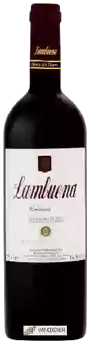 Domaine Lambuena - Crianza