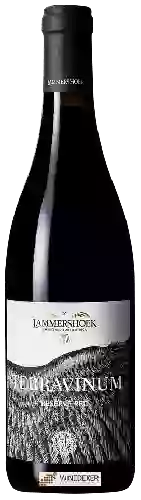 Domaine Lammershoek - Terravinum Reserve Red