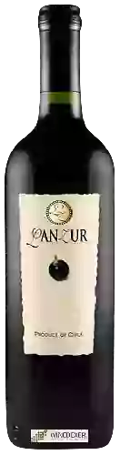 Domaine LanZur - Cabernet Sauvignon