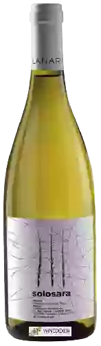 Domaine Lanari - Solosara Bianco