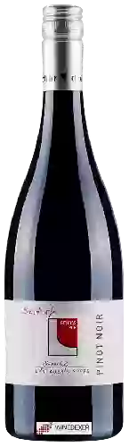Domaine Winzerhof Landauer-Gisperg - Pinot Noir
