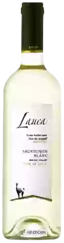 Domaine Lauca - Sauvignon Blanc