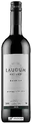 Domaine Laudum - Barrica