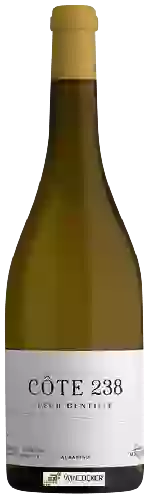 Domaine Laurent Miquel - La Côte 238 Pech Gentille Albarino