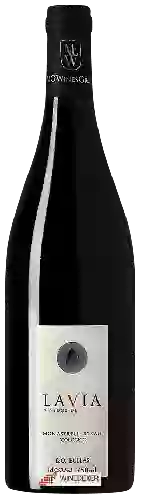 Domaine Lavia - Monastrell - Syrah