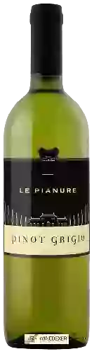 Domaine Le Pianure - Pinot Grigio