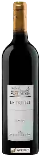 Domaine Les Frères Dutruy - La Treille Gamay