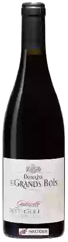 Domaine Les Grands Bois - Gabrielle Sainte Cécile Côtes-du-Rhône-Villages