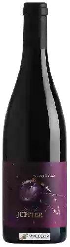 Domaine Les Halos de Jupiter - Vacqueyras Rouge