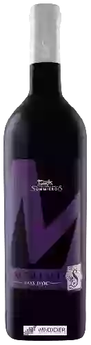 Domaine Les Vignerons du Sommiérois - Merlot