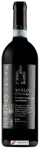 Domaine Leuta - 1,618 Merlot Cortona