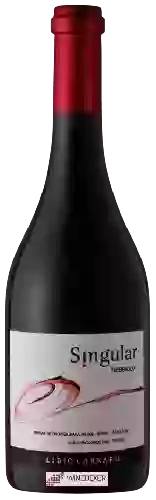 Domaine Lidio Carraro - Singular Nebbiolo