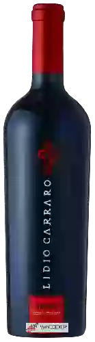 Domaine Lidio Carraro - Tannat (Grande Vindima)