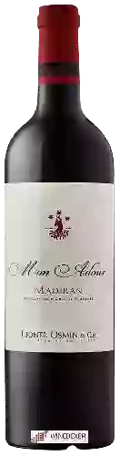 Domaine Lionel Osmin & Cie - Mon Adour Madiran