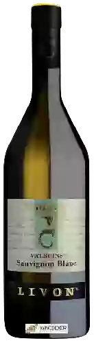 Domaine Livon - Valbuins Sauvignon Blanc