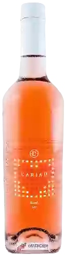 Domaine Llanerch Vineyard - Cariad Rosé