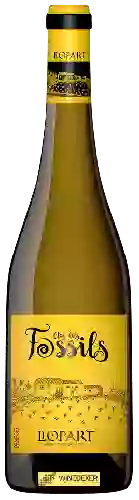 Domaine Llopart - Clos Dels Fòssils Penedès