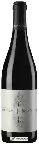 Domaine Lo Zoccolaio - Riserva Barolo