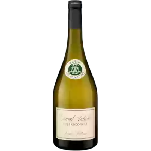 Domaine Louis Latour - Grand Ardeche Chardonnay