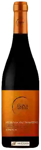 Domaine Luna Argenta - Appassite Negroamaro - Primitivo