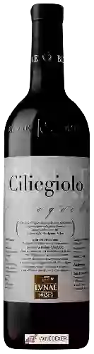 Domaine Lvnae - Ciliegiolo