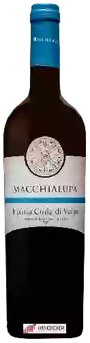 Domaine Macchialupa - Irpinia Coda di Volpe