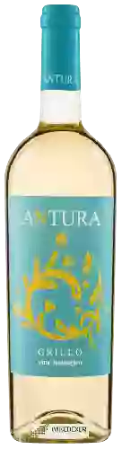 Domaine Maggio Vini - Antura Grillo