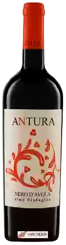 Domaine Maggio Vini - Antura Nero d'Avola