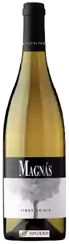 Domaine Magnàs - Pinot Grigio