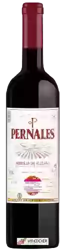 Domaine Málaga Virgen - Pernales Syrah