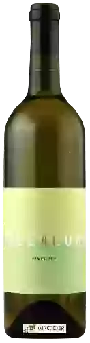 Domaine Mallaluka - Riesling