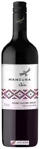 Domaine Mancura - Etnia Cabernet Sauvignon - Merlot