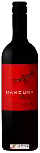 Domaine Mancura - Etnia Cabernet Sauvignon