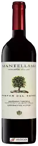 Domaine Mantellassi - Punton del Sorbo Maremma Toscana Cabernet Sauvignon