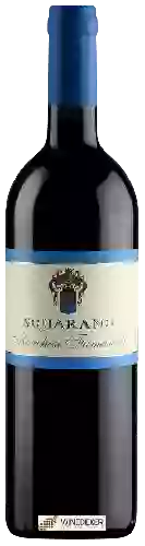 Domaine Marchesi Fumanelli - Squarano