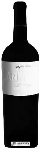 Domaine Mariatinto - Tinto