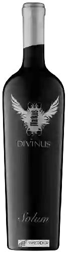 Winery Markus Divinus - Solum