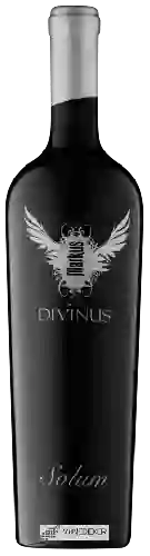 Domaine Markus Divinus - Solum