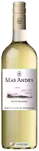 Domaine Mas Andes - Sauvignon Blanc (Reserva)