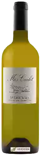 Domaine Mas Carlot - La Terre Natale