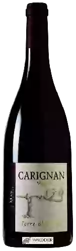 Domaine Mas de Lavail - Terre d'Ardoise Vieilles Vignes Carignan Rouge