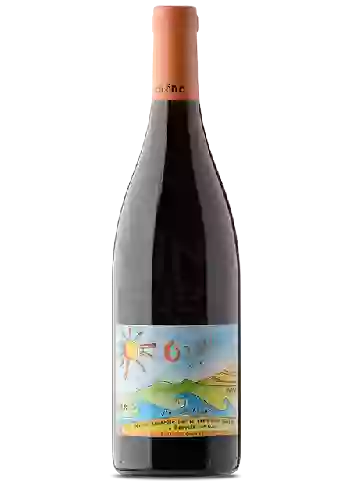 Domaine Mas du Chêne - Amphore