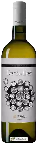 Domaine Mas Vicenç - Dent de Lleó