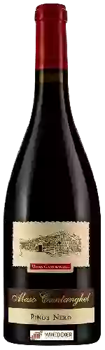 Domaine Maso Cantanghel - Vigna Cantanghel Pinot Nero