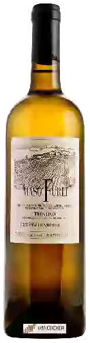 Domaine Maso Furli - Gewürztraminer