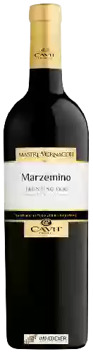 Domaine Mastri Vernacoli - Marzemino