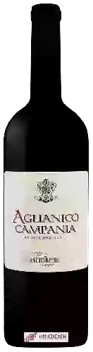 Domaine Mastroberardino - Aglianico Campania